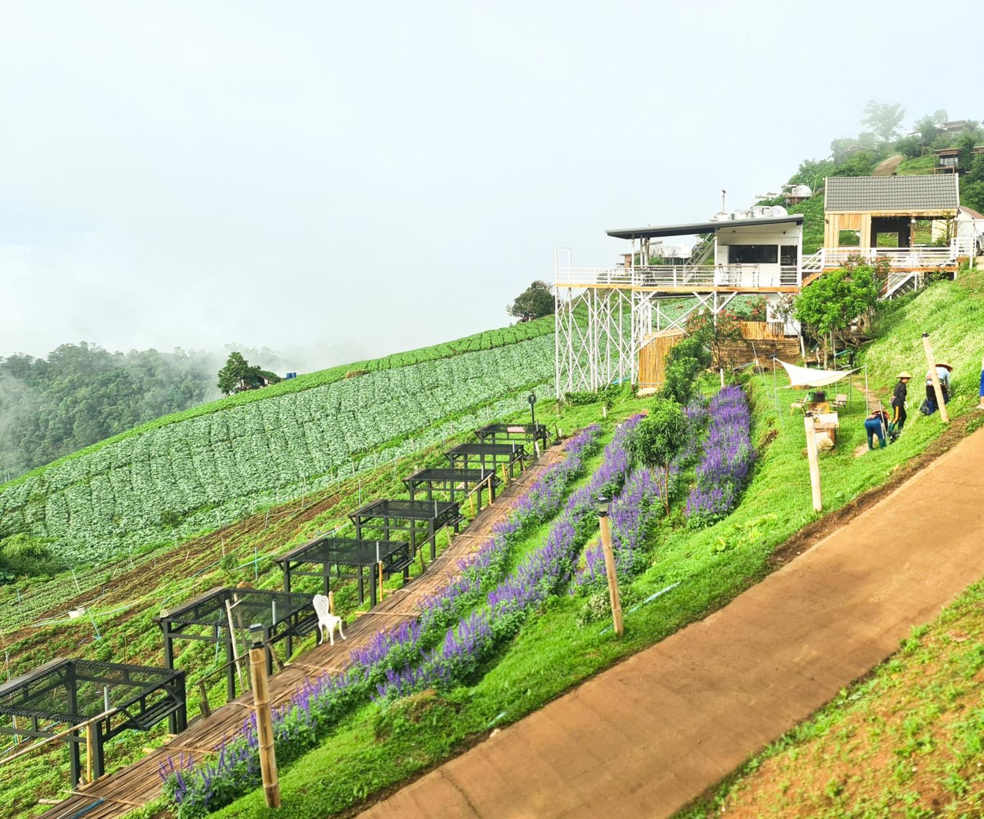 ภูวินคาเฟ่ โฮมสเตย์ Phuwin Cafe Homestay Mon Jam Exterior photo